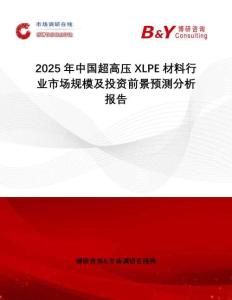 2025年中國超高壓XLPE材料行業市場規模及投資前景預測分析報告