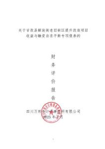 【財務(wù)評價報告】甘孜縣解放街老舊街區(qū)提升改造項目