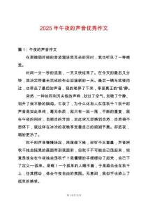 2025年午夜的聲音優(yōu)秀作文