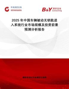 2025年中國車輛被動無鑰匙進入系統行業市場規模及投資前景預測分析報告