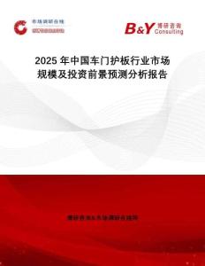2025年中國車門護板行業(yè)市場規(guī)模及投資前景預測分析報告