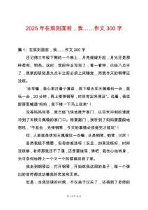 2025年在規則面前，我……作文300字