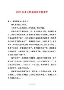 2025年夏天的暴風(fēng)雨來臨作文