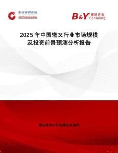 2025年中國轍叉行業市場規模及投資前景預測分析報告