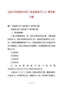 2025年初級審計師《非流淌資產(chǎn)(二)》章節(jié)練習(xí)題