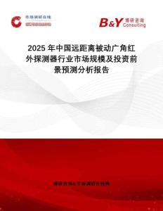 2025年中國遠距離被動廣角紅外探測器行業市場規模及投資前景預測分析報告