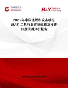 2025年中國違規和攻擊模擬 (BAS) 工具行業市場規模及投資前景預測分析報告