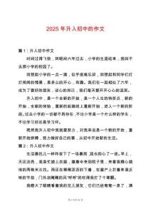 2025年升入初中的作文
