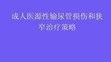 成人醫源性輸尿管損傷和狹窄治療策略2025