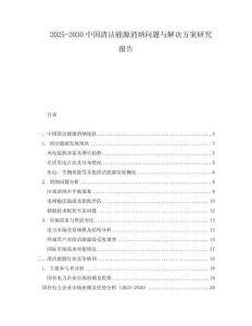 2025-2030中國清潔能源消納問題與解決方案研究報告