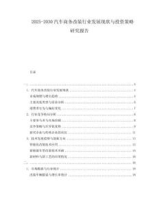2025-2030汽車商務(wù)改裝行業(yè)發(fā)展現(xiàn)狀與投資策略研究報(bào)告