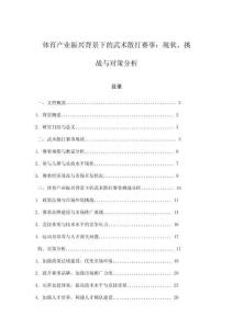 體育產(chǎn)業(yè)振興背景下的武術(shù)散打賽事：現(xiàn)狀、挑戰(zhàn)與對(duì)策分析