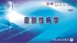 皮膚性病學十三五教材第十四章皮炎和濕疹（59頁PPT）