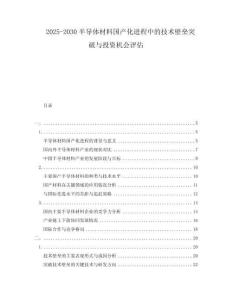 2025-2030半導體材料國產化進程中的技術壁壘突破與投資機會評估