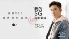 榮耀V30微博營銷結(jié)案（17頁PPT）
