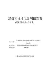 小糊涂仙酒業(yè)（集團(tuán)）瀘州合江有限公司鍋爐房技改項(xiàng)目環(huán)評(píng)報(bào)告