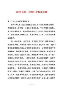 2025年劉一秒執(zhí)行才智讀后感