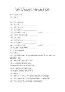 公司之間戰(zhàn)略合作協(xié)議要求文件