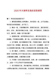 2025年大海帶走我的哀愁感言