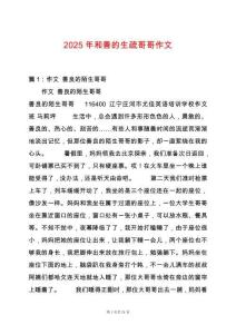 2025年和善的生疏哥哥作文