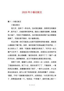 2025年小偷記敘文