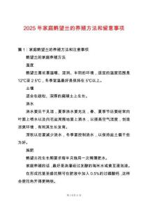 2025年家庭鶴望蘭的養殖方法和留意事項