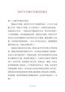2025年小偷可不成以打散文