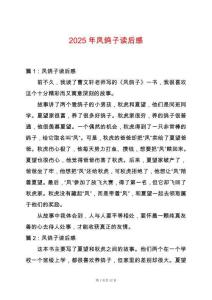 2025年鳳鴿子讀后感