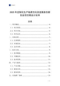 2025年定制化生產線柔性化改造服務創新創業項目商業計劃書