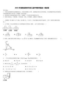 2025年湖南省郴州市安仁縣中考數(shù)學(xué)最后一模試卷含解析