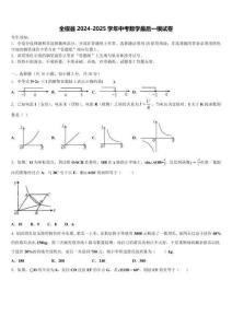 全椒縣2024-2025學(xué)年中考數(shù)學(xué)最后一模試卷含解析