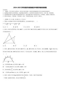2024-2025學(xué)年岳陽(yáng)市岳陽(yáng)樓區(qū)中考數(shù)學(xué)模擬預(yù)測(cè)題含解析