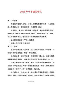2025年十字繡的作文