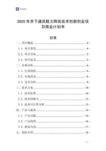 2025年井下通風阻力降低技術創新創業項目商業計劃書