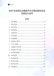 2025年定制化去眼袋手術方案創新創業項目商業計劃書