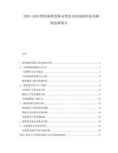 2025-2030鋰資源供需格局變化及電池材料技術路線選擇報告