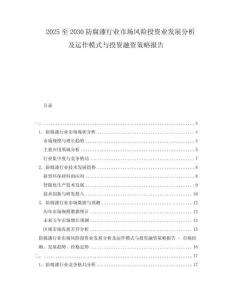 2025至2030防腐漆行業(yè)市場(chǎng)風(fēng)險(xiǎn)投資業(yè)發(fā)展分析及運(yùn)作模式與投資融資策略報(bào)告
