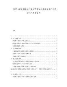 2025-2030制造執行系統在多品種小批量生產中的適應性改造報告