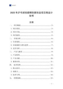 2025年乒乓球拍握柄創(chuàng)新創(chuàng)業(yè)項目商業(yè)計劃書