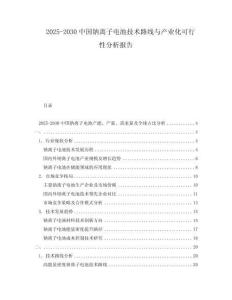 2025-2030中國(guó)鈉離子電池技術(shù)路線與產(chǎn)業(yè)化可行性分析報(bào)告