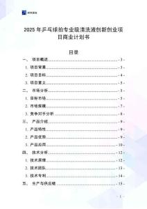 2025年乒乓球拍專業級清洗液創新創業項目商業計劃書