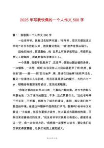 2025年寫我欽佩的一個人作文500字