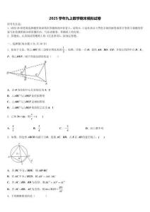 廣東省廣州市南沙欖核二中學2025年數學九上期末檢測試題含解析