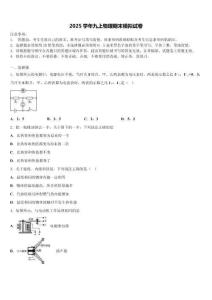 2025屆遼寧省沈陽(yáng)市蘇家屯區(qū)物理九上期末檢測(cè)試題含解析