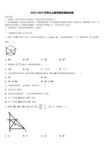 2023屆黑龍江省大慶市林甸縣九年級數(shù)學第一學期期末統(tǒng)考試題含解析