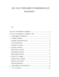2025-2030中國清潔能源汽車市場政策影響與競爭格局研究報告