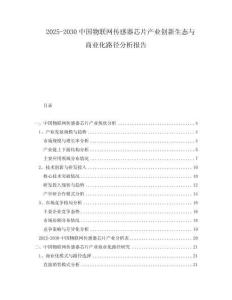2025-2030中國(guó)物聯(lián)網(wǎng)傳感器芯片產(chǎn)業(yè)創(chuàng)新生態(tài)與商業(yè)化路徑分析報(bào)告