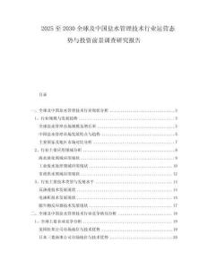 2025至2030全球及中國(guó)鹽水管理技術(shù)行業(yè)運(yùn)營(yíng)態(tài)勢(shì)與投資前景調(diào)查研究報(bào)告
