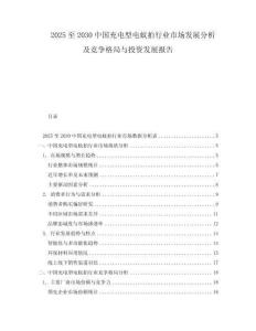 2025至2030中國充電型電蚊拍行業(yè)市場發(fā)展分析及競爭格局與投資發(fā)展報告