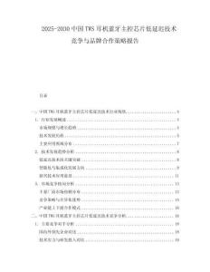 2025-2030中國(guó)TWS耳機(jī)藍(lán)牙主控芯片低延遲技術(shù)競(jìng)爭(zhēng)與品牌合作策略報(bào)告
